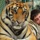 Украинский сонник Что значит, когда снится Тигр
